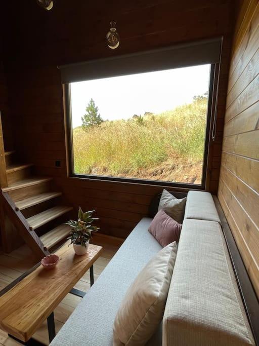 Mountain Eco Shelter 4 Hotel Funchal  Exterior photo